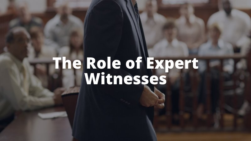 The Role of Expert Witnesses